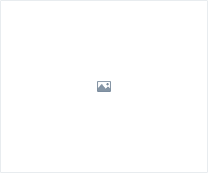 banner-placeholder